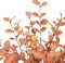 6 Pcs Artificial Fall Eucalyptus Stems with Autumn Leaves